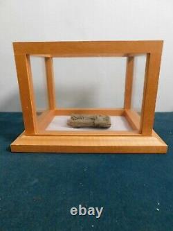 Vertebrae Fossil in Wood Display Case