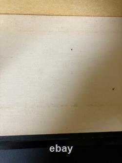 Vintage Japanese Display Glass Case Wood Frame Doll Geisha H14.1 W14.9in