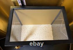 Vintage Japanese Display Glass Case Wood Frame Doll Geisha H14.5 W14.9in