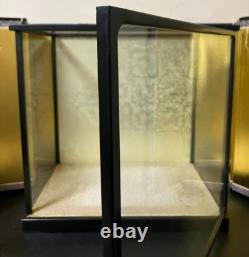 Vintage Japanese Display Glass Case Wood Frame Doll Geisha H16.4 W16.8in