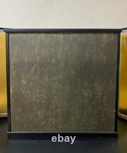 Vintage Japanese Display Glass Case Wood Frame Doll Geisha H16.4 W16.8in