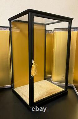 Vintage Japanese Display Glass Case Wood Frame Doll Geisha H19 W12in