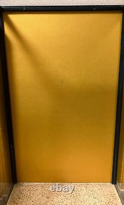 Vintage Japanese Display Glass Case Wood Frame Doll Geisha H19 W12in