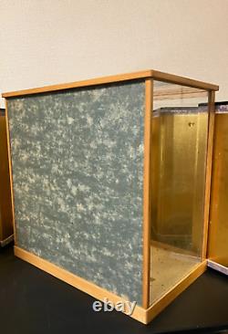 Vintage Japanese Display Glass Case Wood Frame Doll Geisha H19 W19.6 in