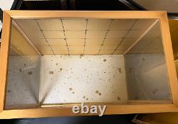 Vintage Japanese Display Glass Case Wood Frame Doll Geisha H19 W19.6 in
