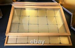 Vintage Japanese Display Glass Case Wood Frame Doll Geisha H19 W19.6 in
