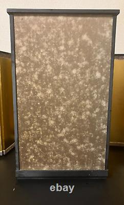 Vintage Japanese Display Glass Case Wood Frame Doll Geisha H21.4 W12.7 in