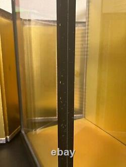 Vintage Japanese Display Glass Case Wood Frame Doll Geisha H21.4 W12.7 in
