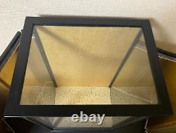 Vintage Japanese Display Glass Case Wood Frame Doll Geisha H21 W12.7in