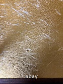 Vintage Japanese Display Glass Case Wood Frame Doll Geisha H23.3 W14.4in