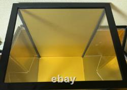 Vintage Japanese Display Glass Case Wood Frame Doll Geisha H24.2 W15.3in