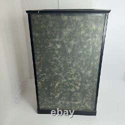 Vintage Japanese Display Glass Case Wood Frame With Geisha Doll