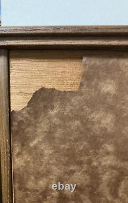 Vintage Japanese Doll Display Glass Case Geisha Wood Frame Brown H20.4 W13.3 in