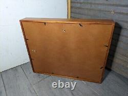 Vintage Wall Hanging Wood & Glass Framed Curio Display Case Shadow Box C24