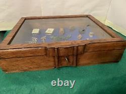 Vintage Wood &Glass Flat Museum Or Shop Style Display Case, curios, jewellery