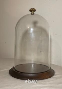 Vintage glass wood brass display case cloche dome statue show cabinet bell jar