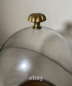 Vintage glass wood brass display case cloche dome statue show cabinet bell jar