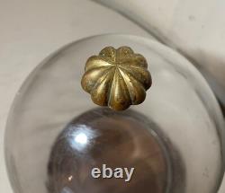 Vintage glass wood brass display case cloche dome statue show cabinet bell jar