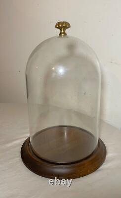 Vintage glass wood brass display case cloche dome statue show cabinet bell jar