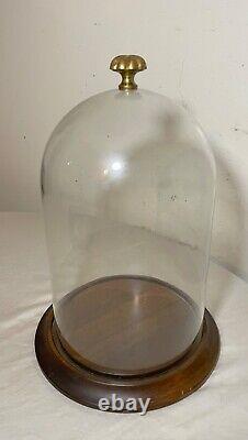Vintage glass wood brass display case cloche dome statue show cabinet bell jar