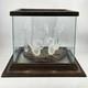 Vintage Hand Blown Glass Swans Cattails On Lake Glass Wood Display Case Signed