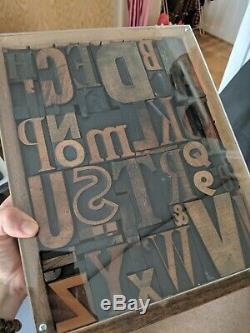 Vintage letterpress wood type printing blocks alphabet letters in display case