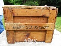 W. ATLEE BURPEE CO. General Store Burpee Seed Storage Wood Chest Box ALL ORIGINA