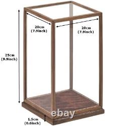 Walnut Wood Trim Base Display Case Transparent Glass Doll Art Jewelry Dust Cover