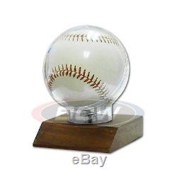 Wholesale Case (36) BCW Real Walnut Wood Base Baseball Holder Display Protector