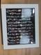 Willabee And Ward 12-month Charm Bracelet Set Complete With Wood Display Case