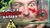 World S Deadliest Baby Snakes